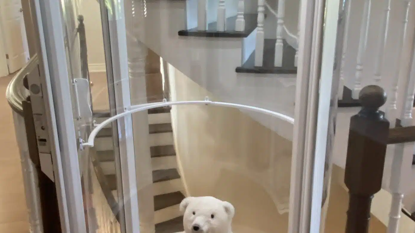 stuffed bear in vuelift mini social media