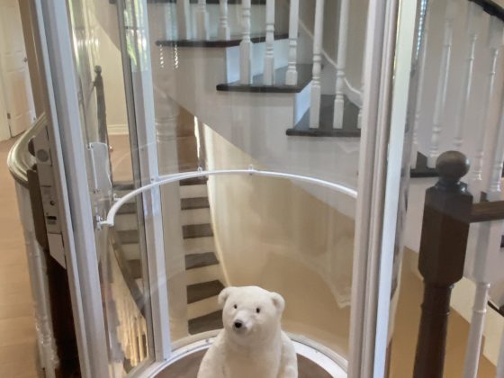 stuffed bear in vuelift mini social media