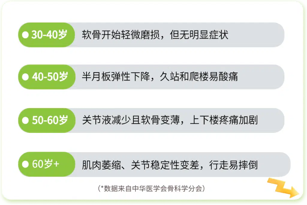 骨骼的使用周期