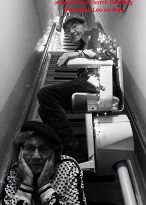 座椅电梯案例 1